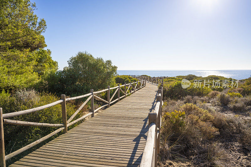 Marbella Artola沙丘和海滩Cabopino自然公园与Se